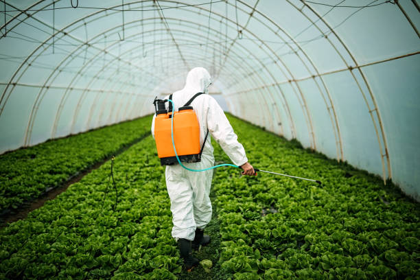 Best Residential Pest Control  in Bromley, KY