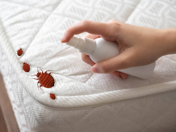 Professional Pest Control in Bromley, KY