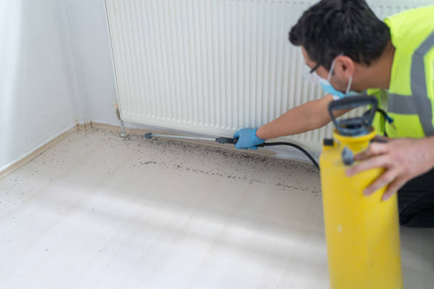 Best Commercial Pest Control Services  in Bromley, KY